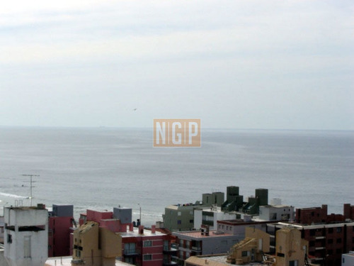 Imagen 8 de 27 de Apartamento En Peninsula, 3 Dormitorios *