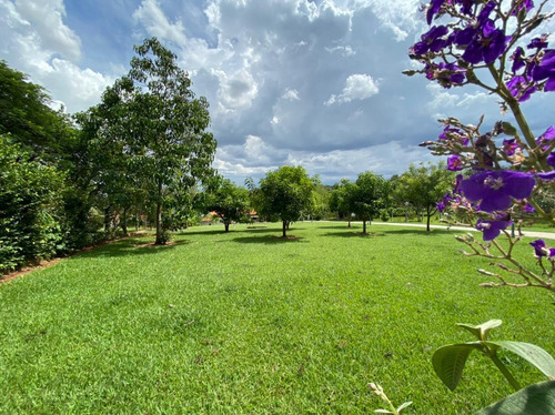 Imagem 5 de 12 de Chácara Em Paulínia - Saltinho - 3.000m - R$1.150.000,00 -