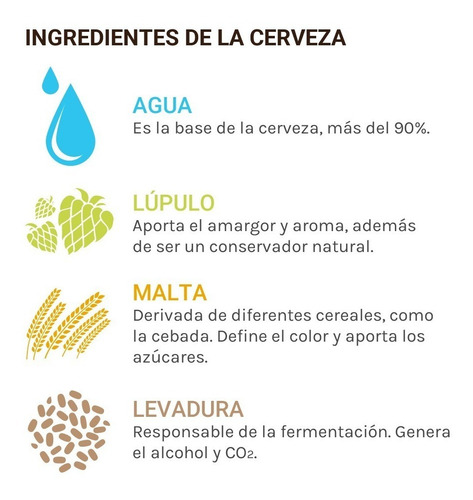 Cerveza Artesanal Wendlandt Foca Cervexxa 12pack