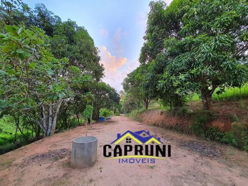 Imagem 13 de 14 de Chácara Em Pará, Carmópolis De Minas/mg De 28000m² 3 Quartos À Venda Por R$ 300.000,00 - Ch2325027-s