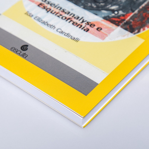 Livro Daseinsanalyse E Esquizofrenia