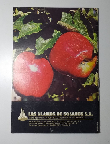 Revista Plantas De Rio Negro. Año 1985 #e2 (Usado)