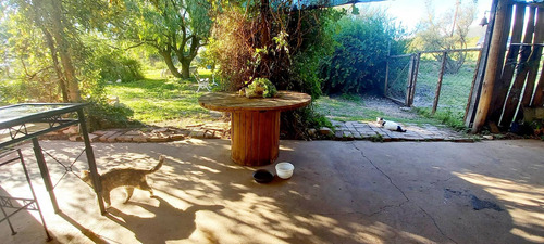 Imagen 15 de 30 de Campo 7 Hectreas Plano Con Chalet, San Esteban