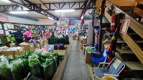 Local Comercial 15 Estacionamientos Proppios (88516)