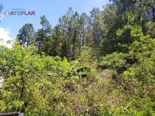 Imagem 6 de 6 de Terreno À Venda, 9500 M² Por R$ 2.300.000,00 - Vila Nova - Porto Belo/sc - Te0083