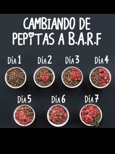 Imagen 4 de 8 de Alimento Barf Natural Para Mascotas 978548738 Santa Anita