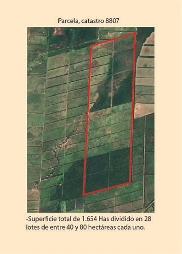 Imagen 4 de 16 de Campo En Venta - Agricola Granadero En Salta - Anta Totalmente Equipado
