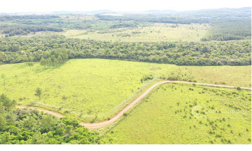 Se Vende Campo De 80 Ha En Fachinal, Misiones