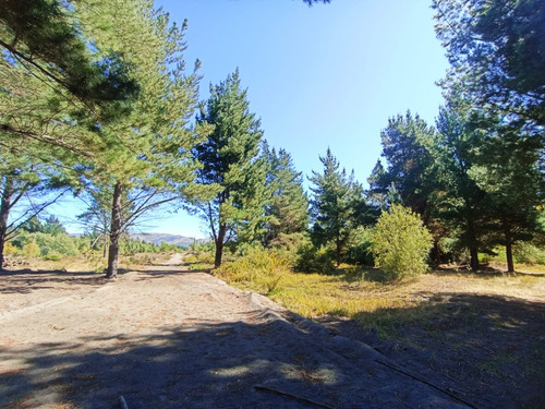 Venta Sitio Proyecto El Arrayan Camino Unihue Talcamavida