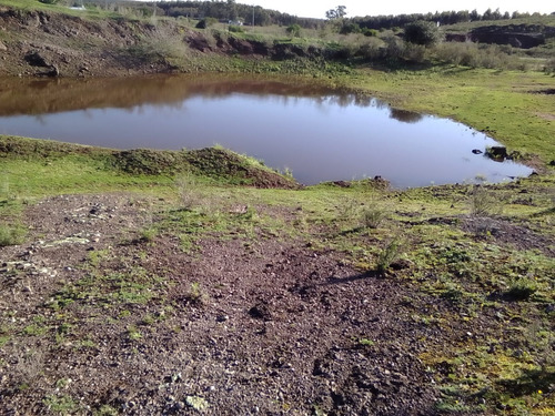Campo Agrícola Ganadero En Canelones