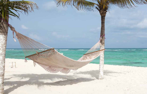 Imagen 5 de 6 de Nuevo Terreno En Venta A Tulum Quintana Roo