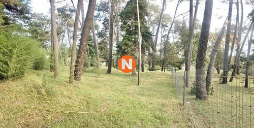 Imagen 4 de 12 de Venta De Terreno En Cantegril Punta Del Este - Punta Del Este Cantegril