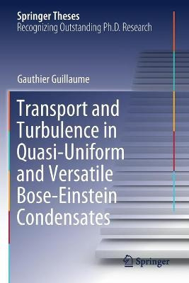 Libro Transport And Turbulence In Quasi-uniform And Versa...