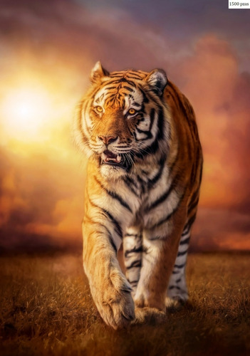 Puzzle Clementoni 1500 Piezas Tigre - Tiger