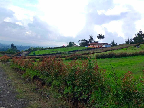 Imagen 21 de 30 de Hermosa Finca Campesina En Venta En Parcelación Excelente Vecindario.
