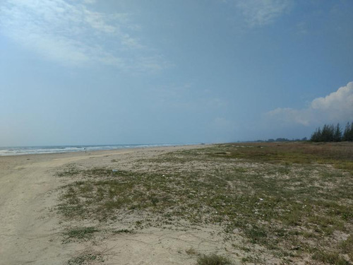 Venta Terreno Con Pozo Y Arroyo 200 Hectáreas Playa Tamiahua Veracruz