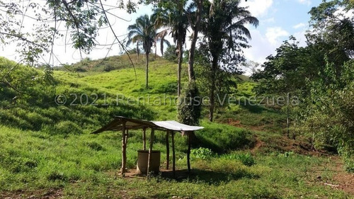 Imagen 21 de 24 de Angelica Nati Rent A House Finca En Venta Vallecito Tinaquillo Cojedes Cod 22m6016 Ar