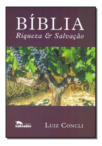 Libro Biblia Riqueza E Salvacao De Concli Luiz Labrador