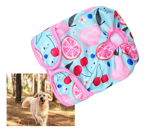 Pantalones Fisiológicos Para Perros, Transpirables Y De Rápi