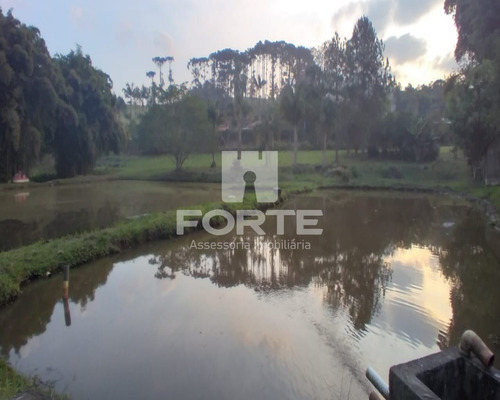 Imagem 4 de 30 de Linda Parte De Terra Com Lagos E Pinheiros Em Sabauna . Imobiliárias De Mogi Das Cruzes. São 47 Mil Metros Com 2 Lagos - Ar00001 - 69542625