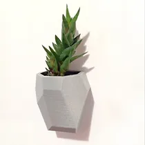 Comprar Maceta Colgante De Pared Cactus Plantas  X3