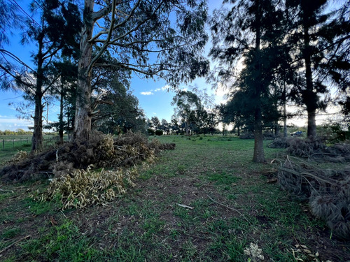 Imagen 12 de 17 de Atencion Inversor Amplia Parcela En Venta Sobre Ruta 20 Proxima A Las Lagunas De Chascomus Y Vitel