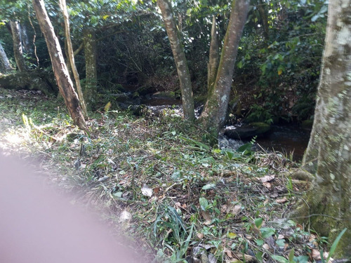 Imagem 19 de 21 de 03t- Venha Usufluir Da Cachoeira No Quintal Da Sua Casa!!