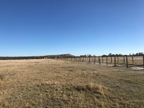 Imagen 8 de 11 de Terreno En Venta Poblado|poblado Aquiles Serdán