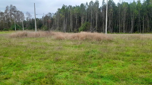 Se Vende Hermosa Parcela De Agrado En Sector Chancoyan.