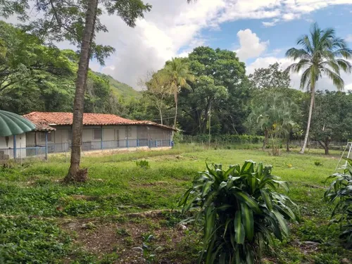 Finca En Venta En Yotoco. Cod V8605