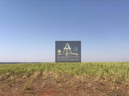 Imagem 13 de 18 de Excelente Fazenda Para Venda Em Nipoã - Sp - Confira!!!! - Fa0056