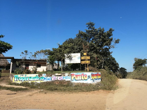 Imagen 2 de 8 de Terreno - San Juan Bautista Tuxtepec