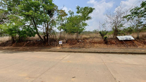 Imagen 5 de 14 de En Venta Terreno En Valencia Guataparo Country Club De 900m2