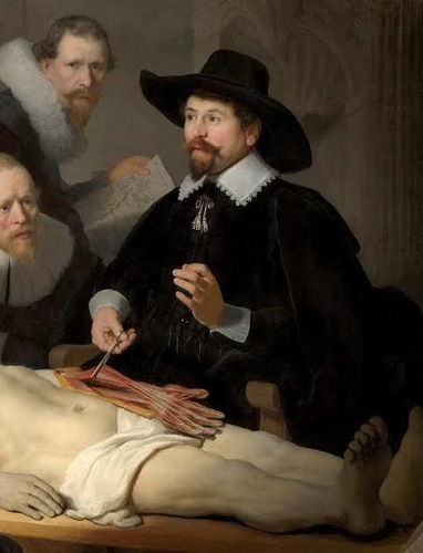 Imagem 1 de 3 de Curso Vídeo Aula Anatomia Para Enfermagem