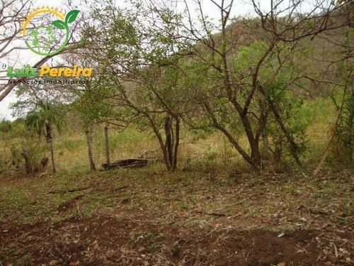 Imagem 4 de 6 de Fazenda Á Venda Em Bandeirantes - Ms - 1.020 Hectares (dupla Aptidão) - 2026
