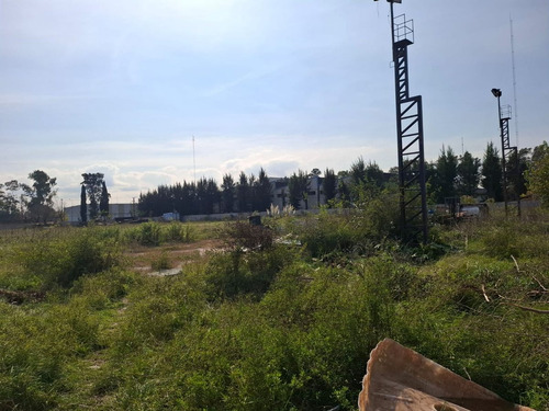Venta Lote 7800 Mts. Parque Industrial Burzaco