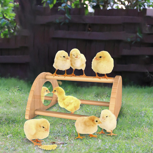 Pollo Percha Soporte Para Pollos Juguetes Para Pollos