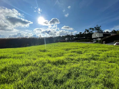 Hermoso Lote Ubicado En El Alto De Las Palmas