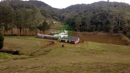 Imagem 14 de 20 de Sítio À Venda Em Juquitiba Sp Medindo 48000m² Ref 1002