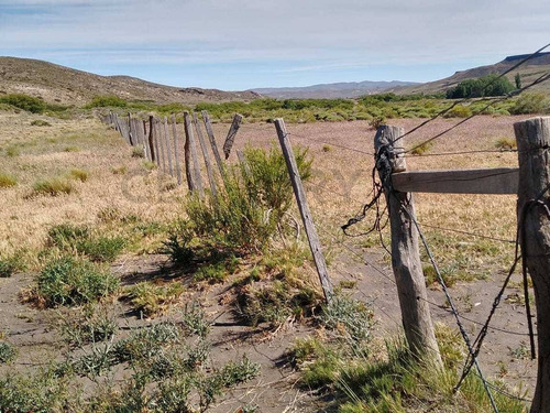 Imagen 4 de 8 de Venta Campo 3178 Ha, 8 Km Costa Rio Catan A 130 Km San Martin De Los Andes