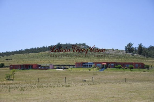 Venta De Chacra 5 Has En Abra De Perdomo, Maldonado- Ref: 19264