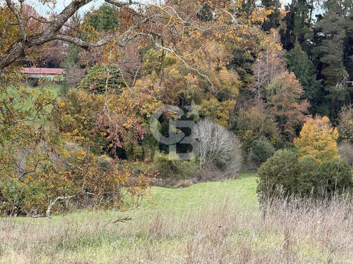 Parcelas 5.000 M² Cerca De Osorno
