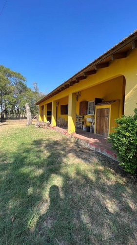 Imagen 3 de 15 de Campo En San Pedro