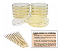 Comprar Ez Bioresearch Bacteria Science Kit (iv): Top Science Fair P