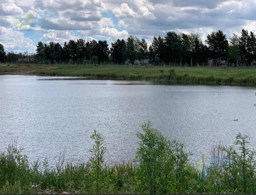 Imagen 13 de 24 de Venta De Lote A Laguna - Villanueva
