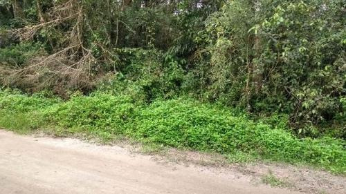 6064 Kym - Vende Terreno Na Praia - Gaivota - Itanhaém/sp