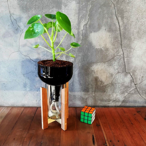 Imagen 7 de 10 de Cuchara Little Plant 27 Con Soporte, Maceta Autorregante