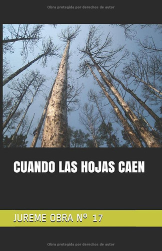 Cuando Las Hojas Caen: Jureme Obra N° 17