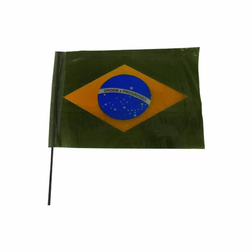 Bandeira Do Brasil 45x27cm  Plástico