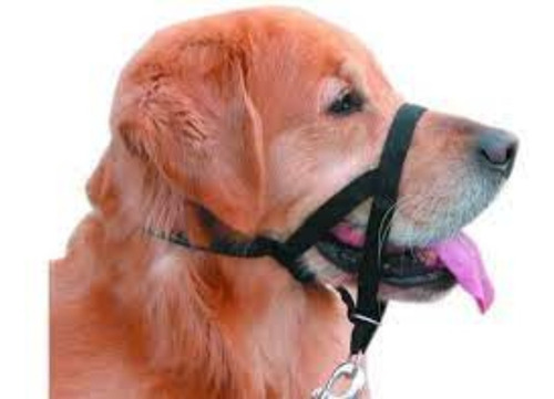 Imagen 4 de 5 de Trixie Arnés Bozal Collar Trainer L-xl Anti Tirón Perro